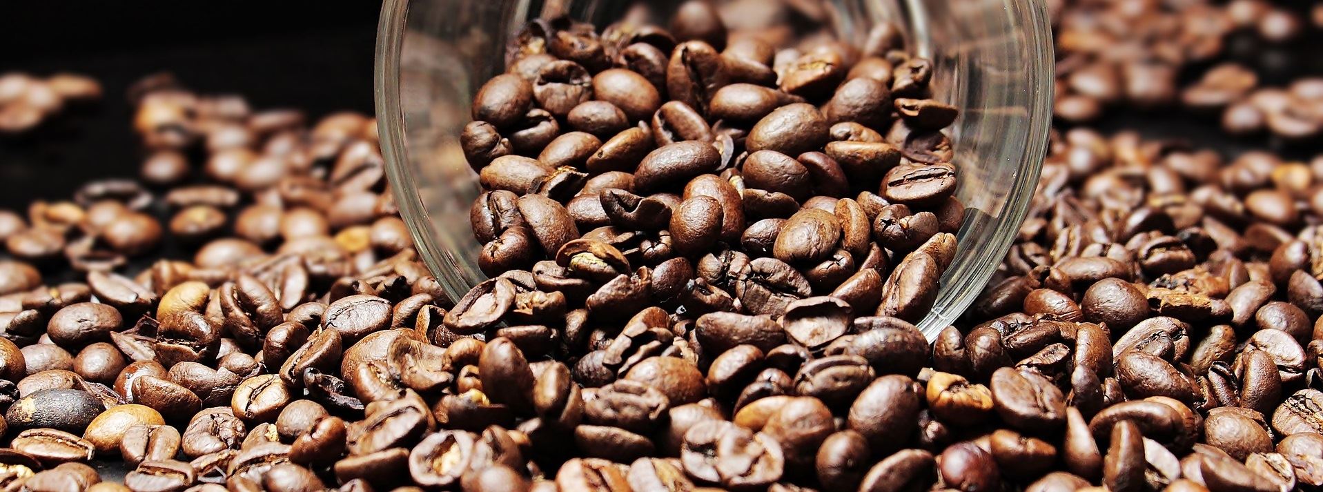 Wyróżnienie w konkursie SCEA dla Ecobean